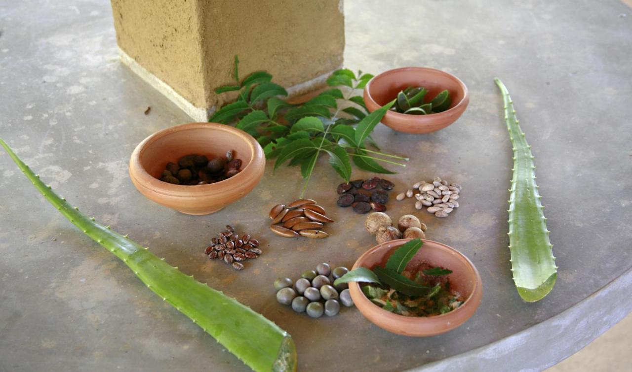 Nature Lanka Ayurveda Resort - All Meals And Ayurveda Treatments With Yoga Tangalle Exterior foto