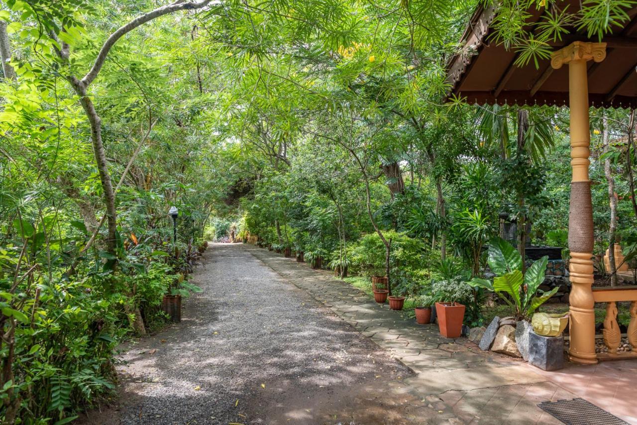 Nature Lanka Ayurveda Resort - All Meals And Ayurveda Treatments With Yoga Tangalle Exterior foto